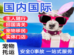 塔城千泉航空空运国际宠物托运 【国